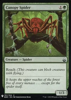 梢の蜘蛛