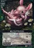 獣人ウェアアルマジロ