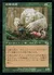 幻影の虎