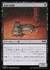 倉庫の虎猫