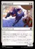 悪戯好きの子犬