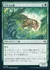 下生えの豹