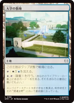 大学の敷地