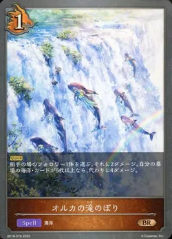 オルカの滝のぼり